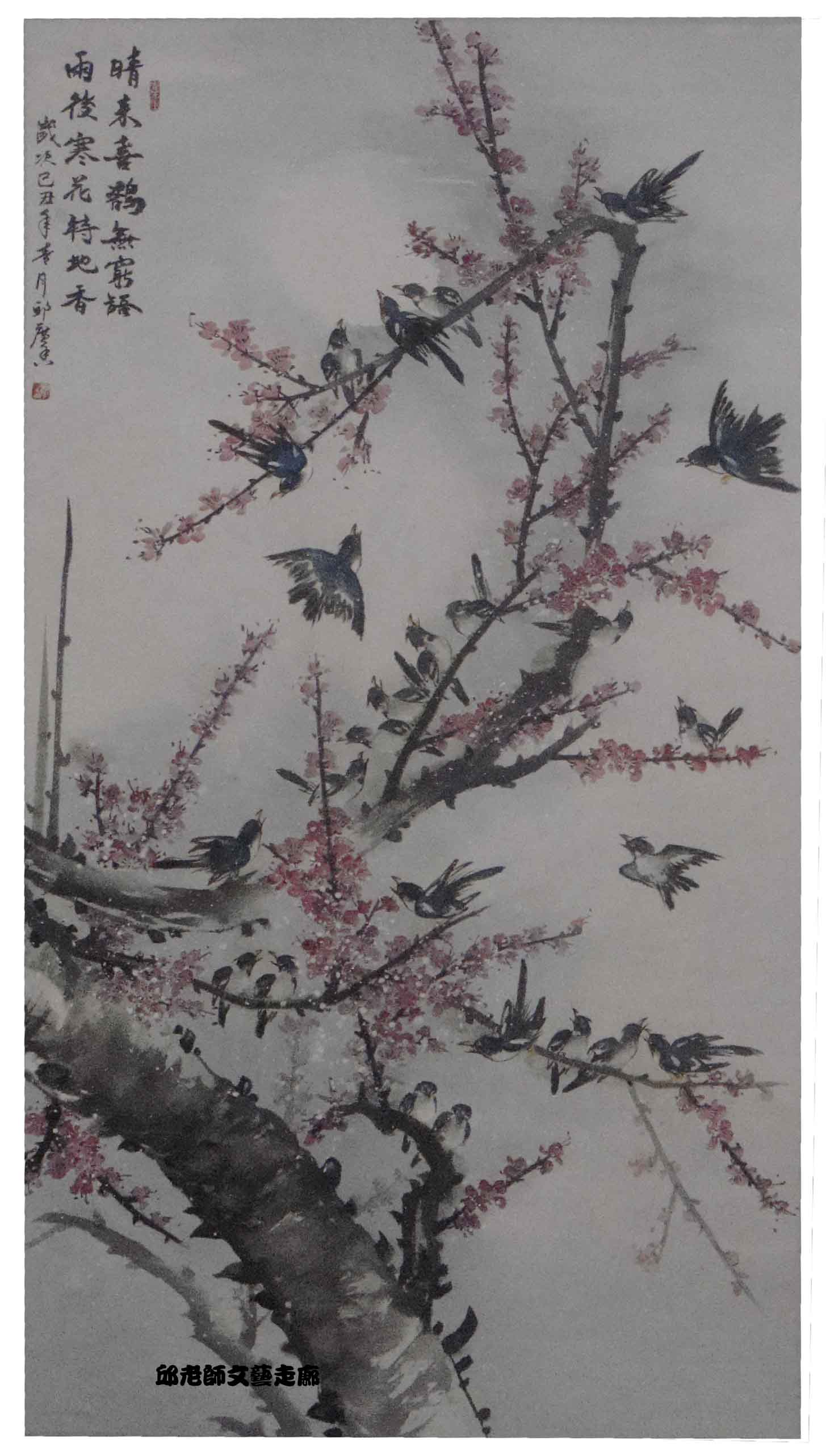 喜鵲梅花