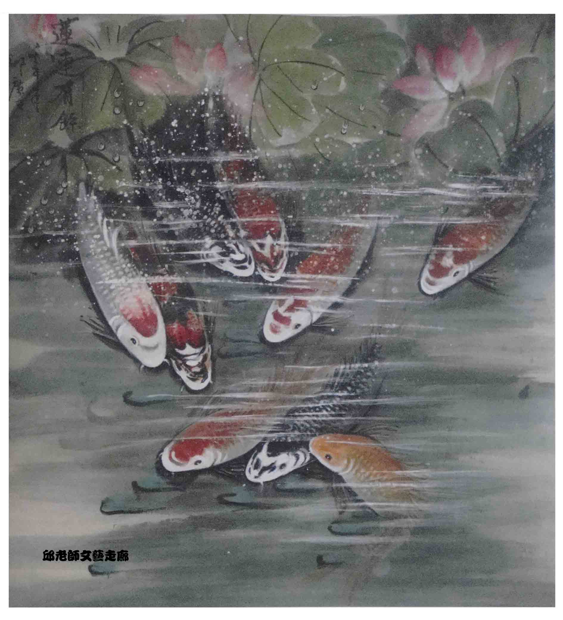 錦鯉1