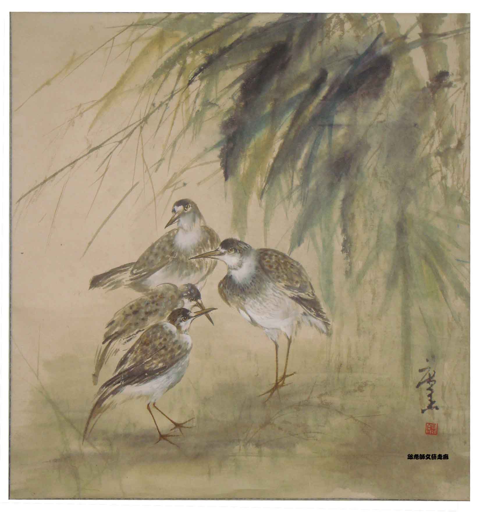 水鳥2