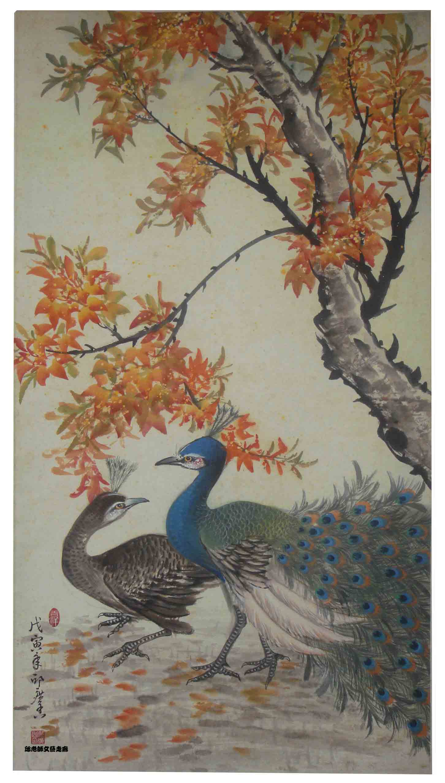 孔雀2